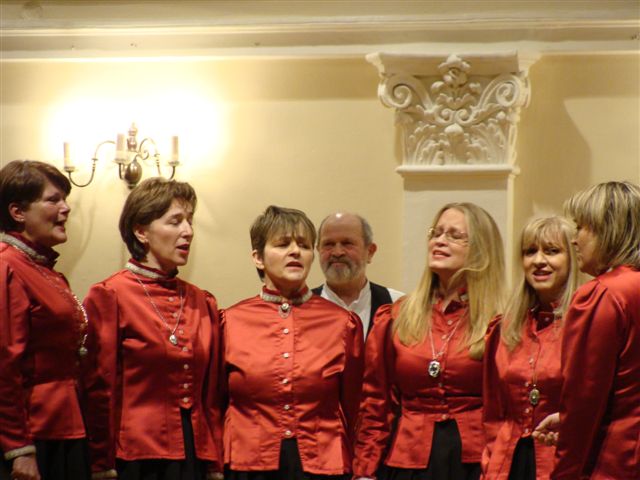 prvikominsnjezanin hgz2011 (1)